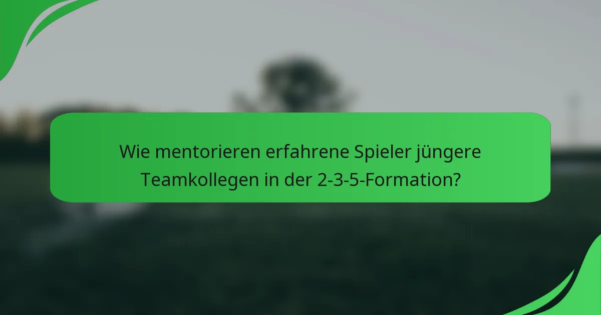 Wie mentorieren erfahrene Spieler jüngere Teamkollegen in der 2-3-5-Formation?
